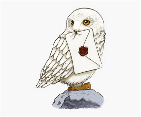 harry potter owl clipart