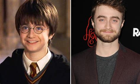 harry potter quien es