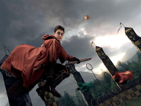 harry potter sport quidditch