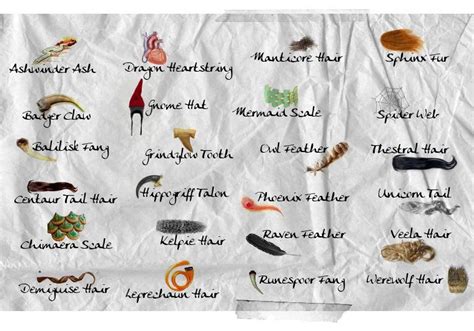 harry potter wand core meanings