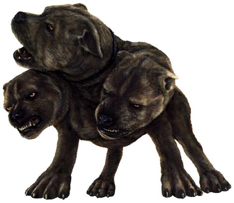 harry potter what was the 3 headed dog called