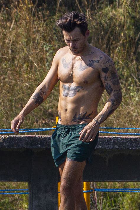harry style nude