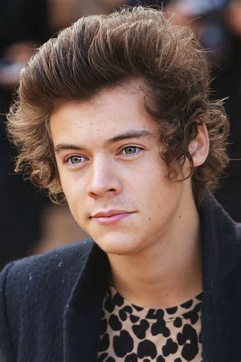harry styles' haircut inspiration and tips