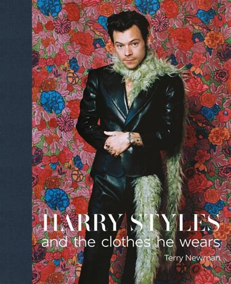 harry styles and the clothes he wears