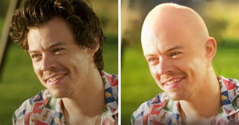harry styles bald theory