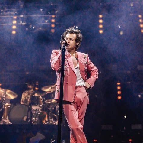 harry styles concert images