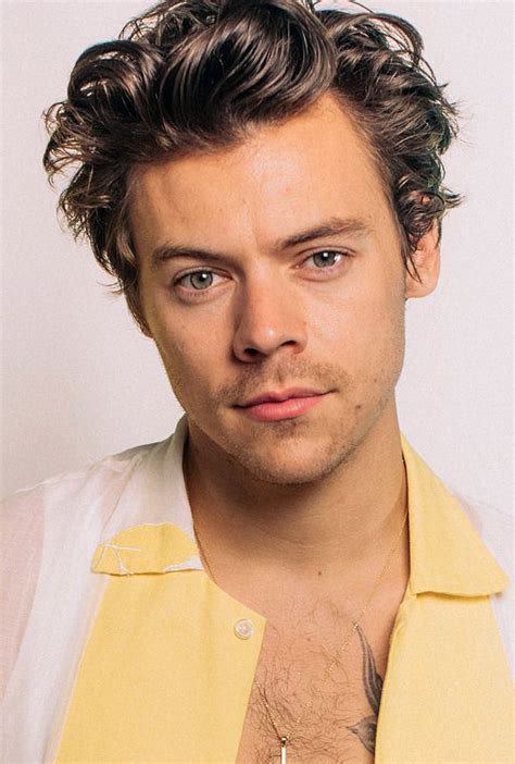 Harry Styles Face Features