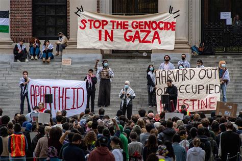 harvard protest against israel