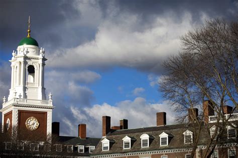 harvard undergraduate programs in history