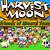 harvest moon friends of mineral town action replay codes us