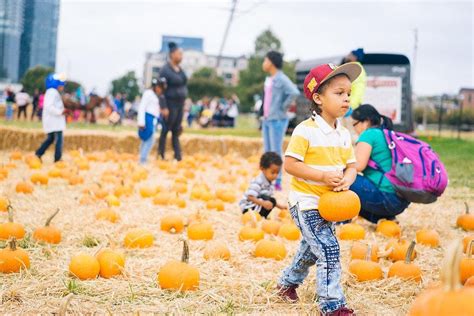 harvest festival in baltimore