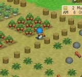 Harvest Moon Back to Nature di PC