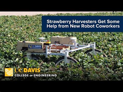 Harvesters Get Help
