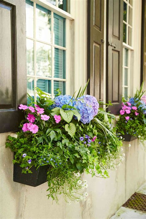Harvesting from Window Boxes