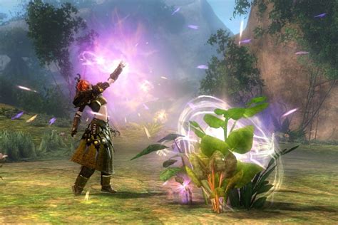 Harvesting Tools Gw2