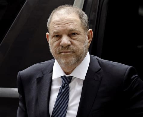 harvey weinstein appeal new york