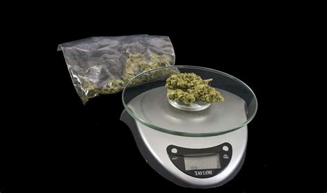 hash edible calculator