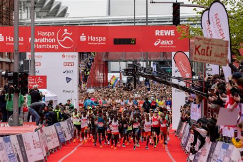 haspa marathon 2024 vorbereitung