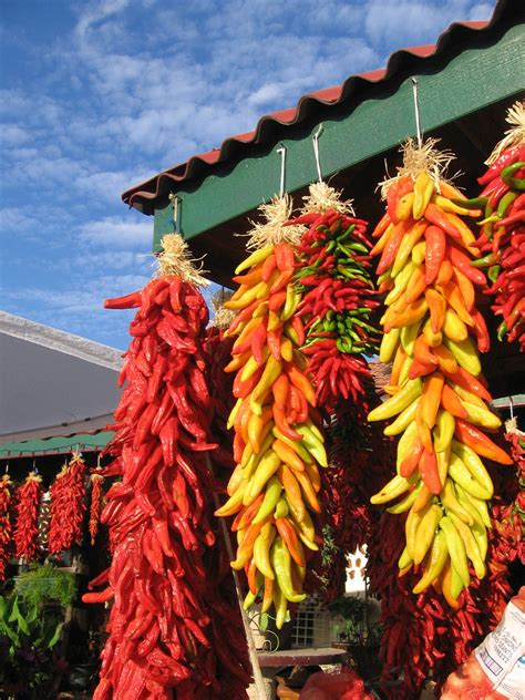 hatch new mexico chile peppers