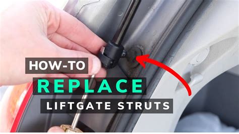 Hatch Support Struts Lifts Replacement