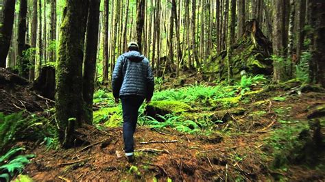 hatchet movie trailer gary paulsen