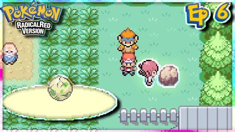 Hatching Eggs Radical Red