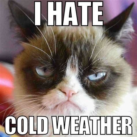 Hate's Bitter Cold