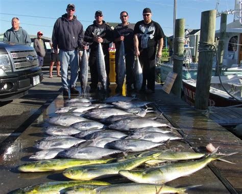 Hatteras Harbor Fishes