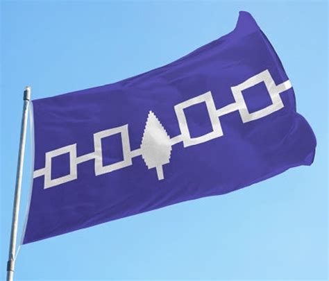 Unveiling the Symbol of History: The Haudenosaunee Flag's Story
