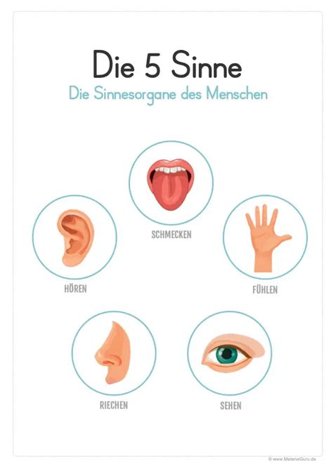 +14 Haus Der 5 Sinne Going Viral