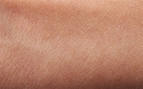 Haut Definition