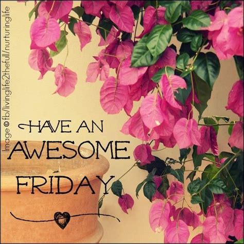 have a awesome friday