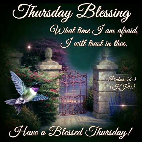 have a blessed thursday evening