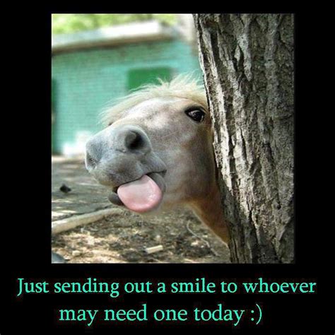 have a wonderful day funny quotes
