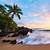 hawaii tropical paradise