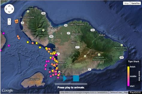 hawaii shark tracking website