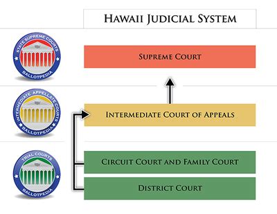 hawaii state court case lookup