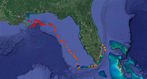 hawaii tiger shark tracker