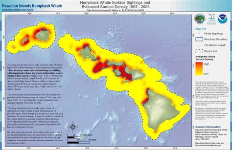 hawaii whale sighting map