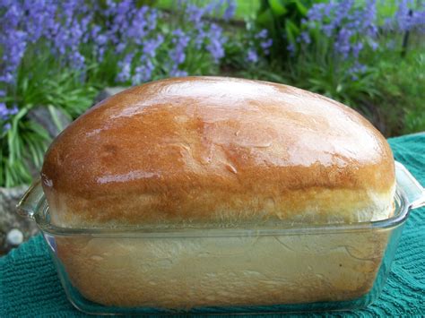 Diana's Hawaiian Bread Rolls Recipe