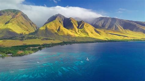 hawaiian islands national marine sanctuary