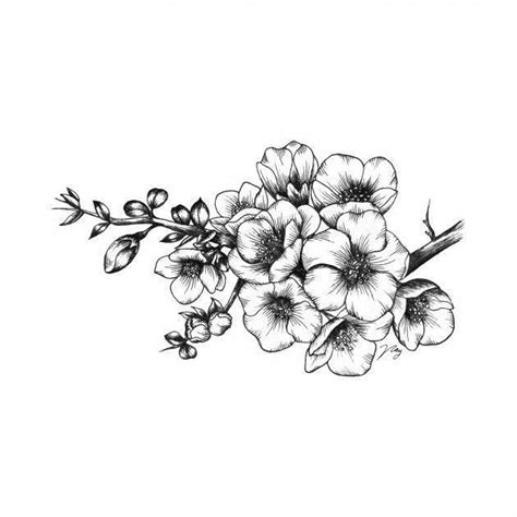 Informative Hawthorn Flower Tattoo Designs References