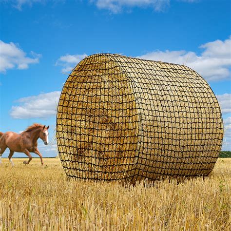 Hay Feeder With Net