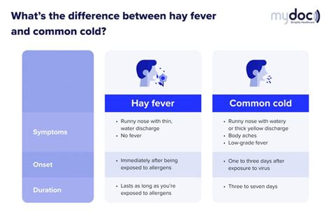 hay fever vs cold