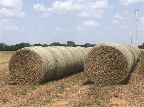 hay for sale in ok