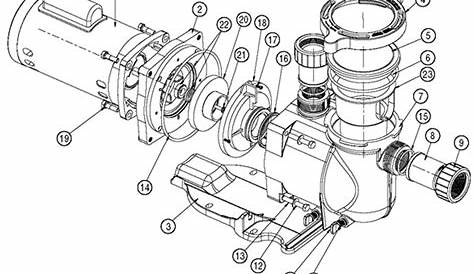 How To Replace a Hayward Super Pump Motor - YouTube