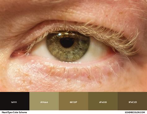 Hazel Eye Color Code