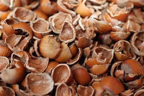 Hazelnut Shell Uses