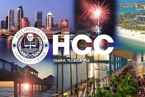 hcc community college tampa florida