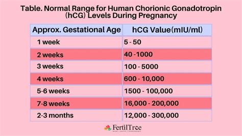 Understanding HCG Normal Range: What You Need to Know About Healthy Pregnancy Levels